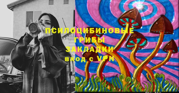 сатива Алзамай