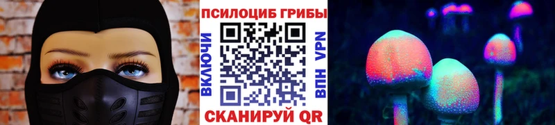 Галлюциногенные грибы Psilocybe Трёхгорный