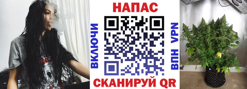 сколько стоит  Трёхгорный  blacksprut зеркало  Бошки Шишки марихуана 